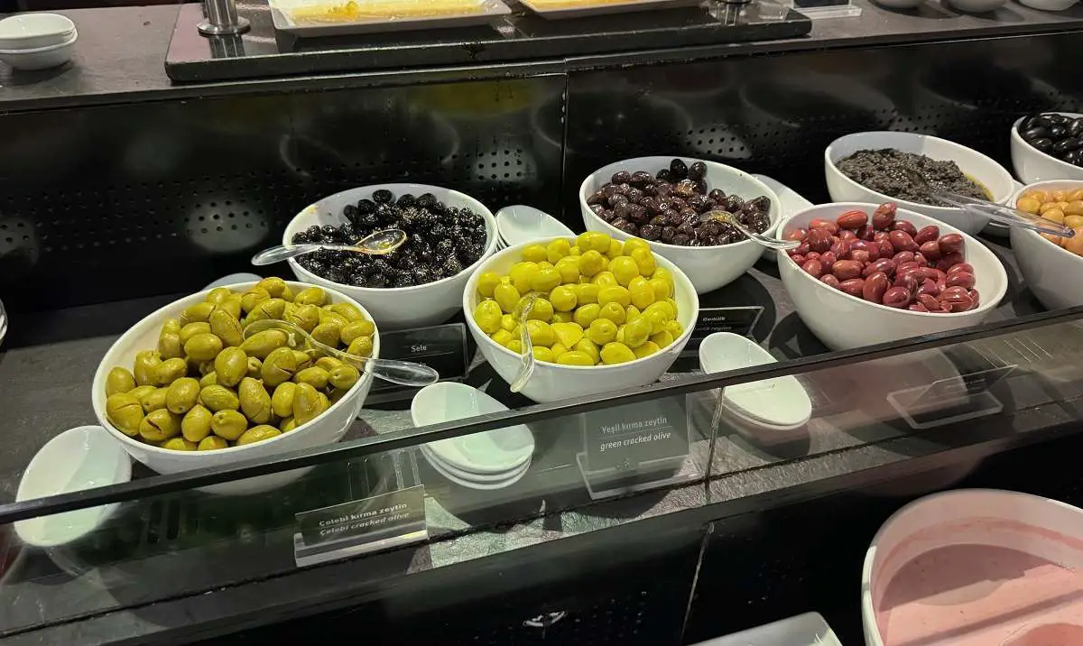 istanbul-business-lounge-vegan