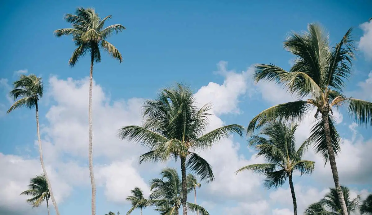 november-travel-guide