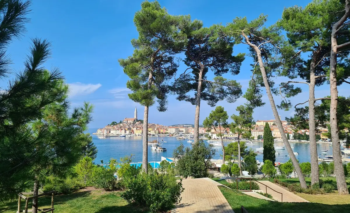 rovinj-pine-trees