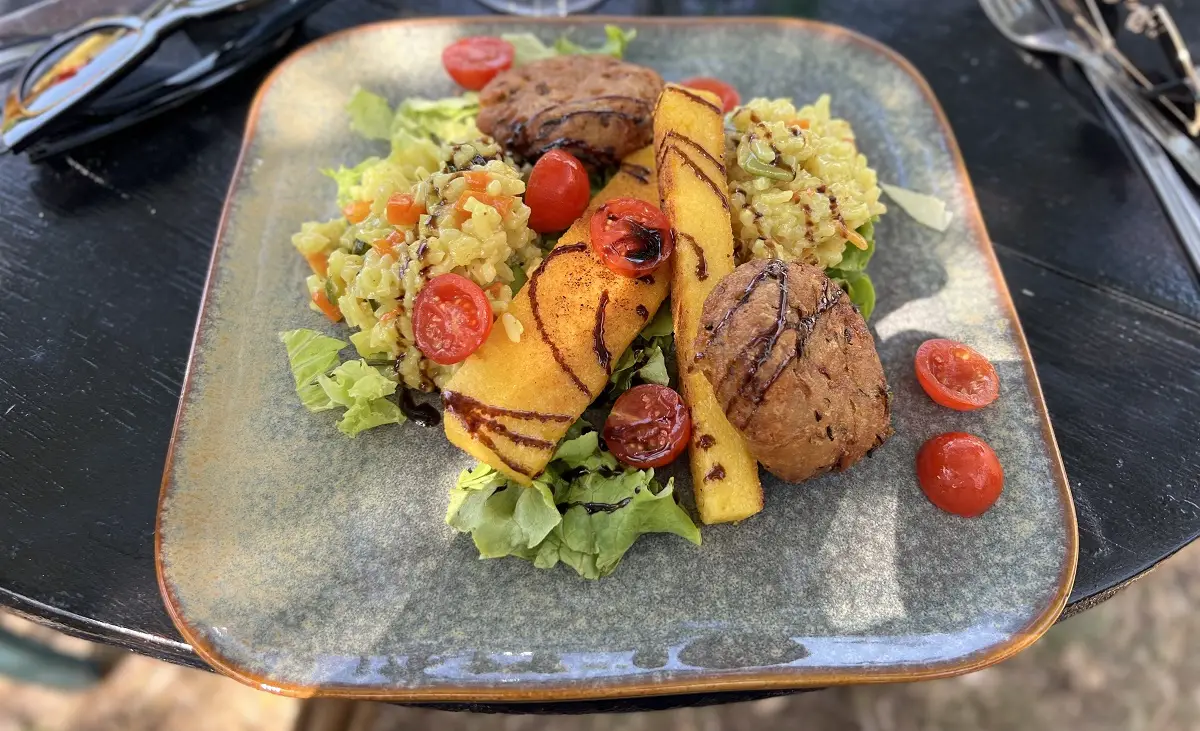 vegan-lunch-croatia