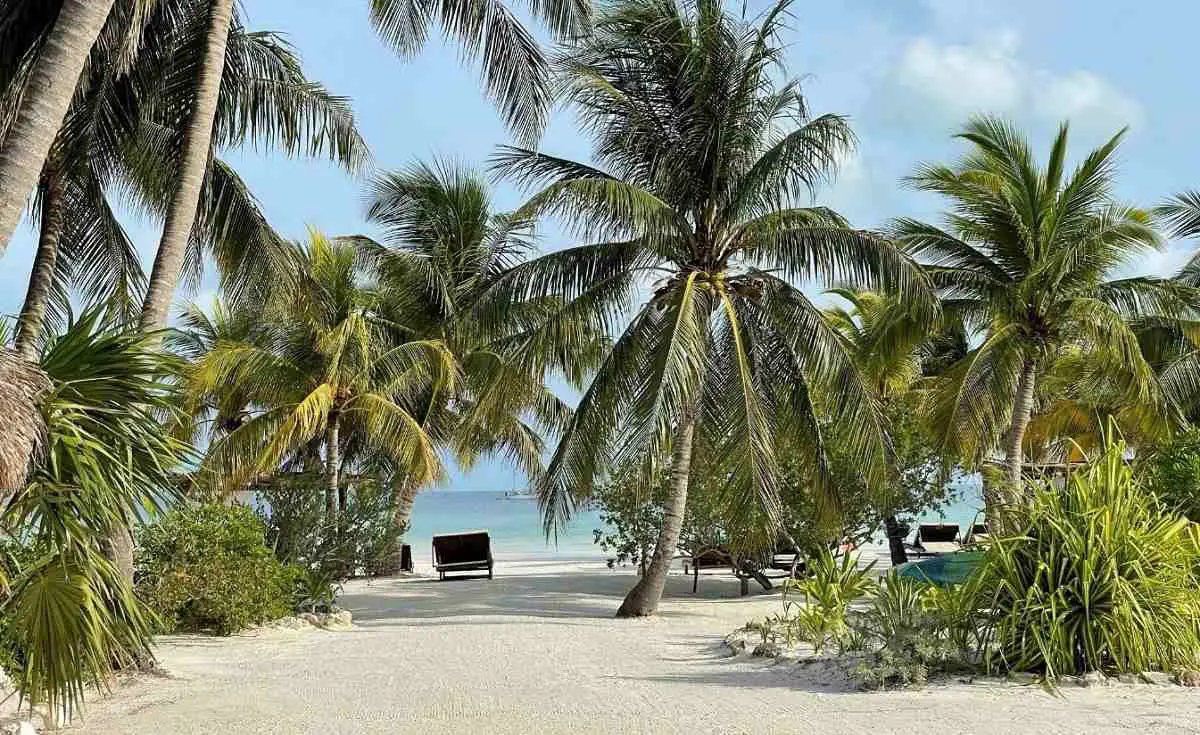 holbox-guide