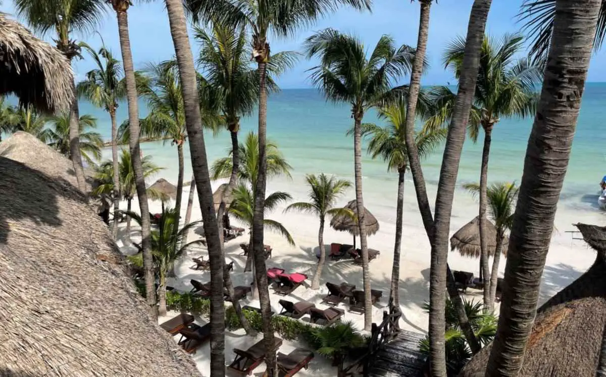 holbox-vegan-hotel-lapalapa-view