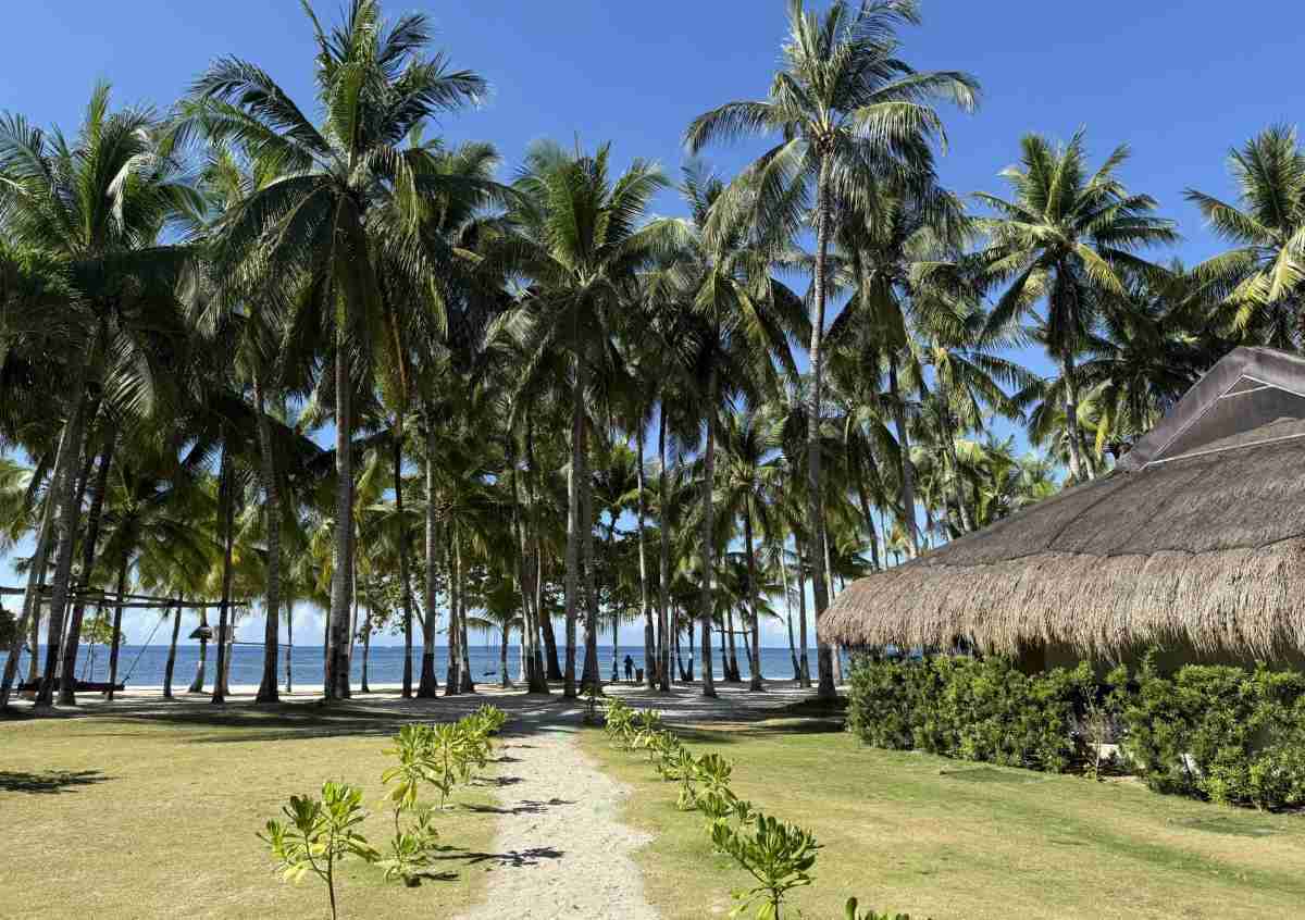 oceanica-resort-bohol