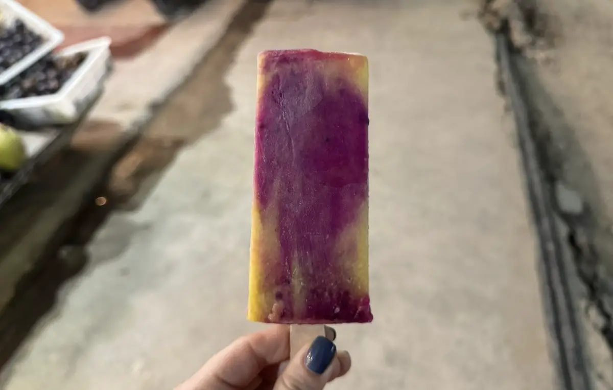 vegan-ice-cream-bohol