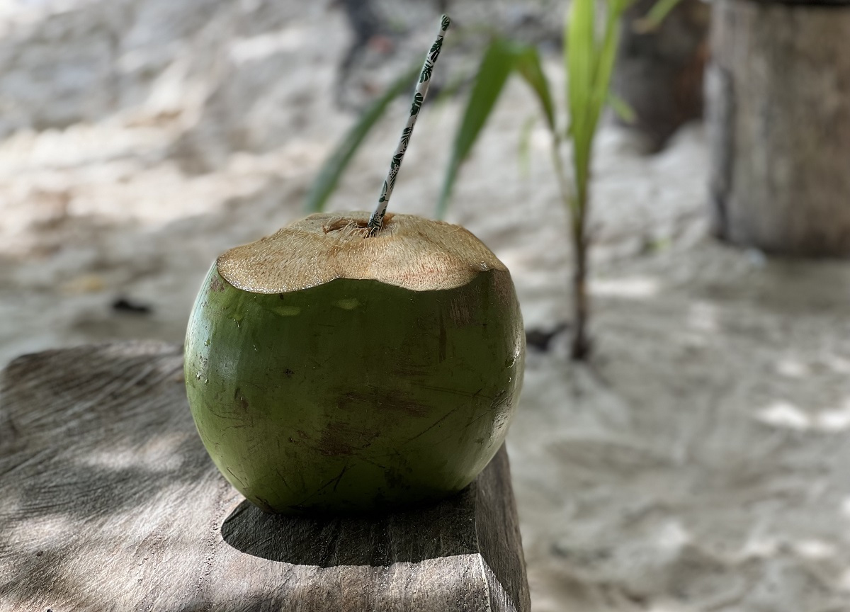fresh-coconut-seychelles
