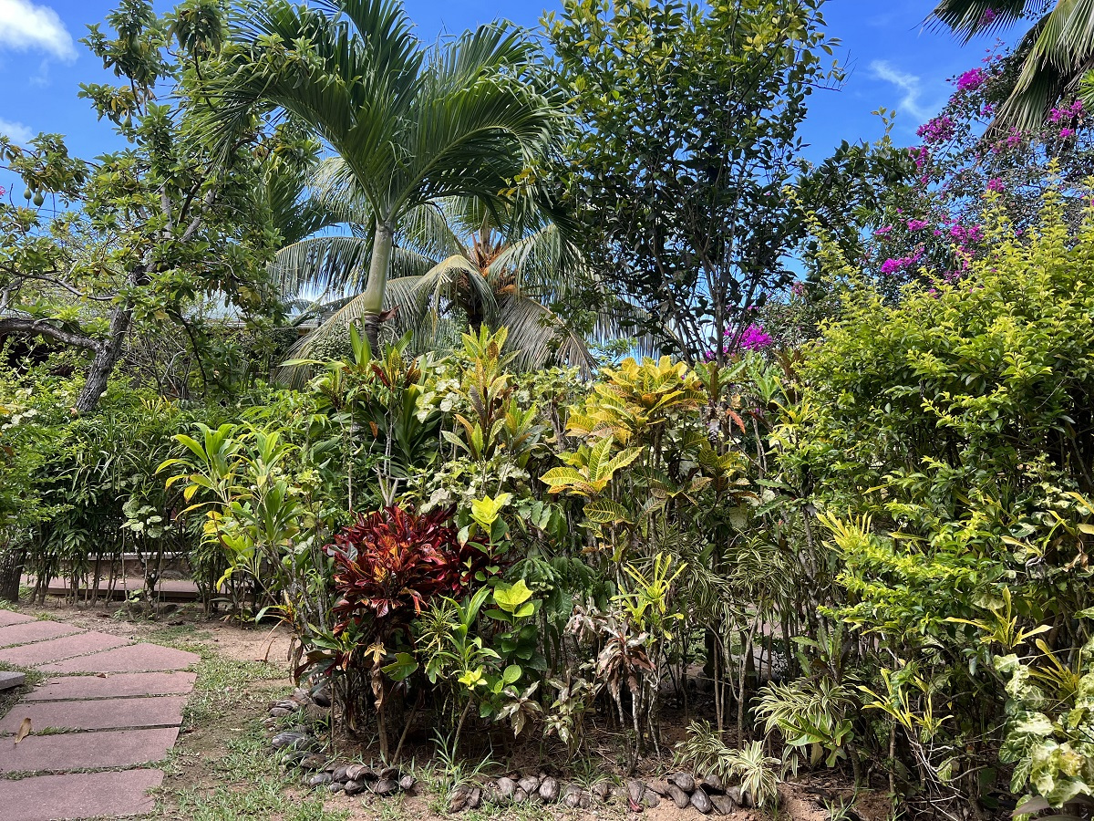 garden-la-digue-nature