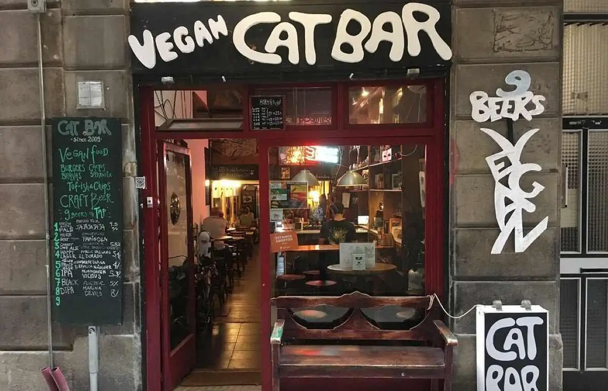 cat-bar