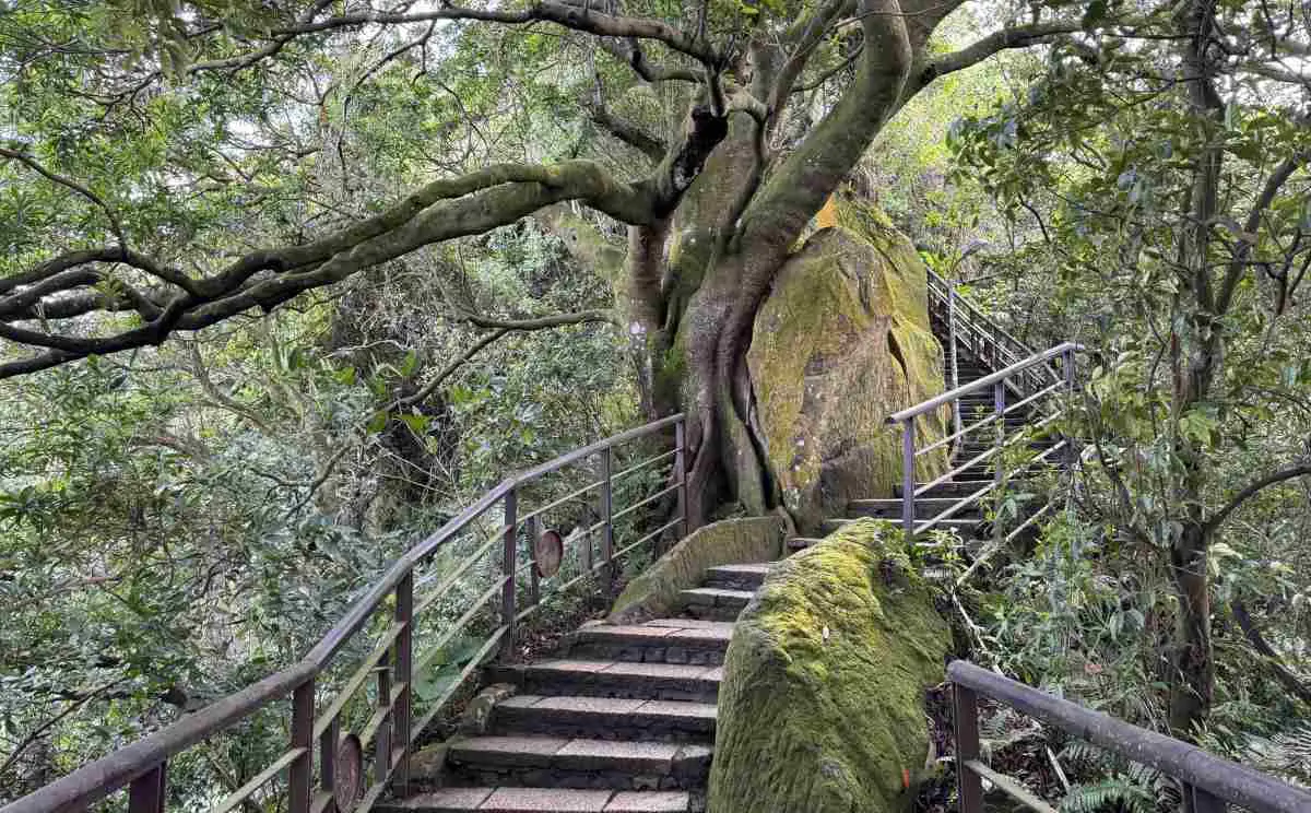 elephant-mountain-taipei