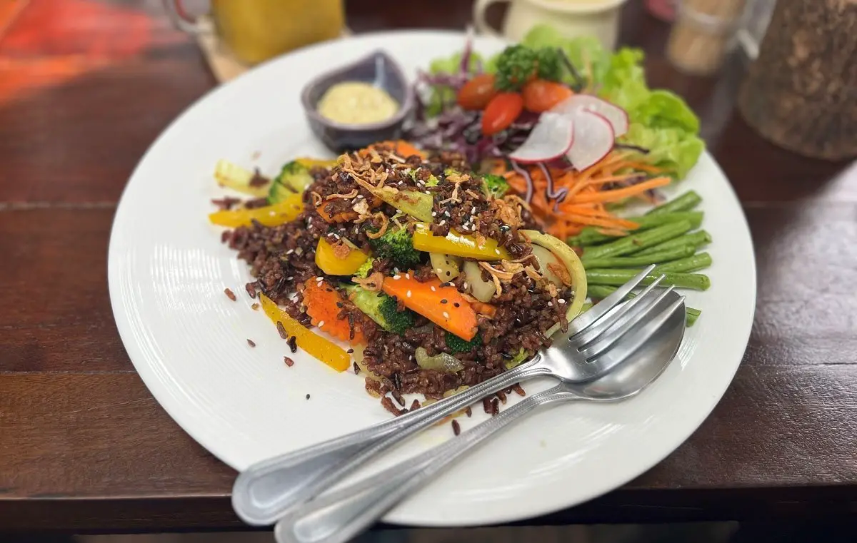 chiang-mai-pure-vegan-heaven-