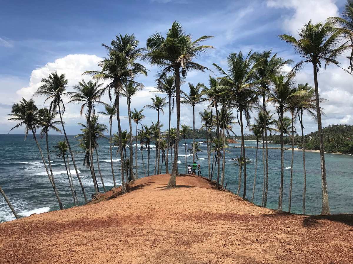 1_coconu-tree-hill-sri-lanka