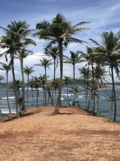 vegan guide to mirissa, sri lanka