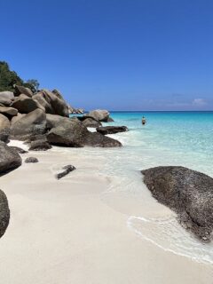 seychelles vegan travel