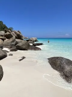 seychelles vegan travel