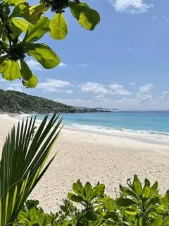 la digue beach anse cocos