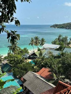 koh phangan guide travel vegan