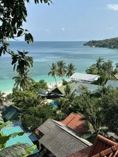 koh phangan guide travel vegan