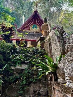 vegan travel guide chiang mai