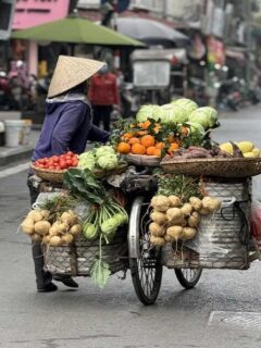 hanoi travel guide vegan