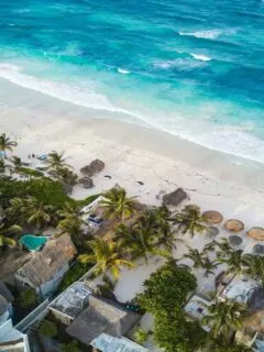 mexico vegan hotel guide