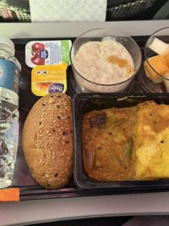 vegan qatar airways meal guide