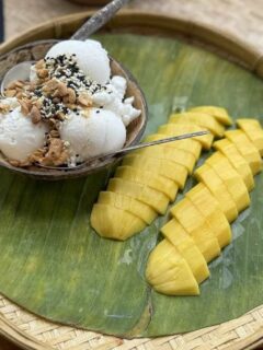 laos vegan travel guide